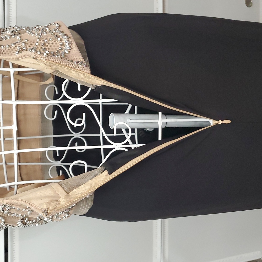 Cachet Beaded Gown Size 6 - Picture 9 of 11